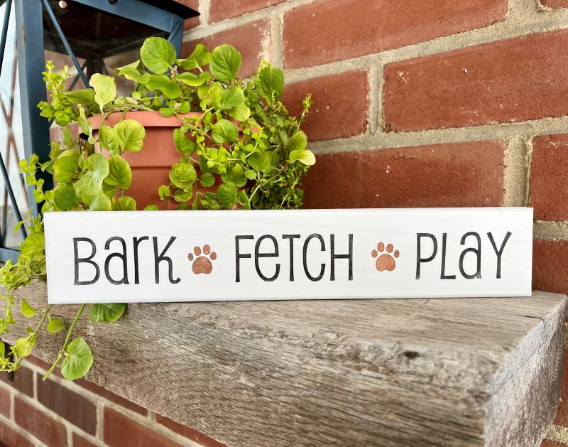 Bark Fetch Play