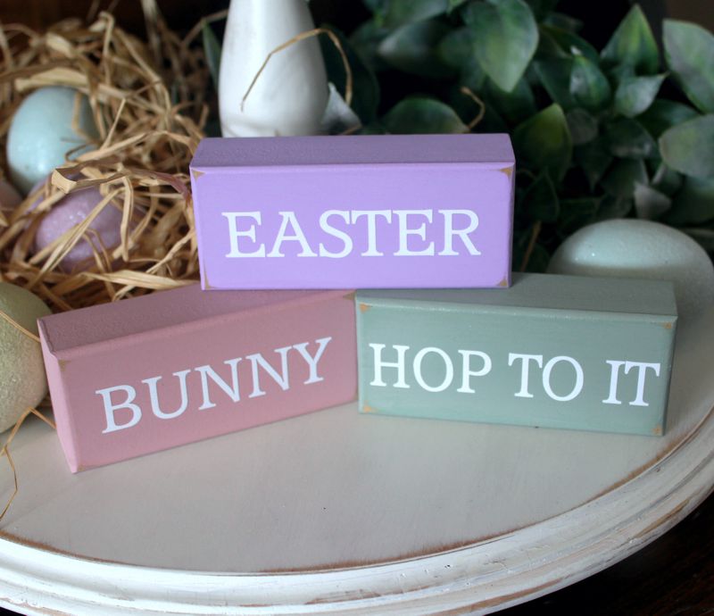 Easter Bunny Hop To It Mini Blocks