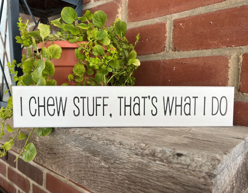Dog sign.  White wood sign with hand stenciled  wording that says I chew stuff, That's What I Do.  Sign measures 2 1/2 inches x 12 inches.  #doglife