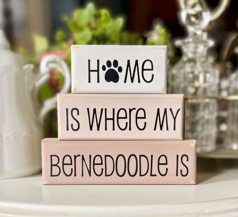 Set of 3 stacking blocks.  White, tan and light browm with black laettering that says Home is where my Bernedoodle is.  Available in two sizes. 