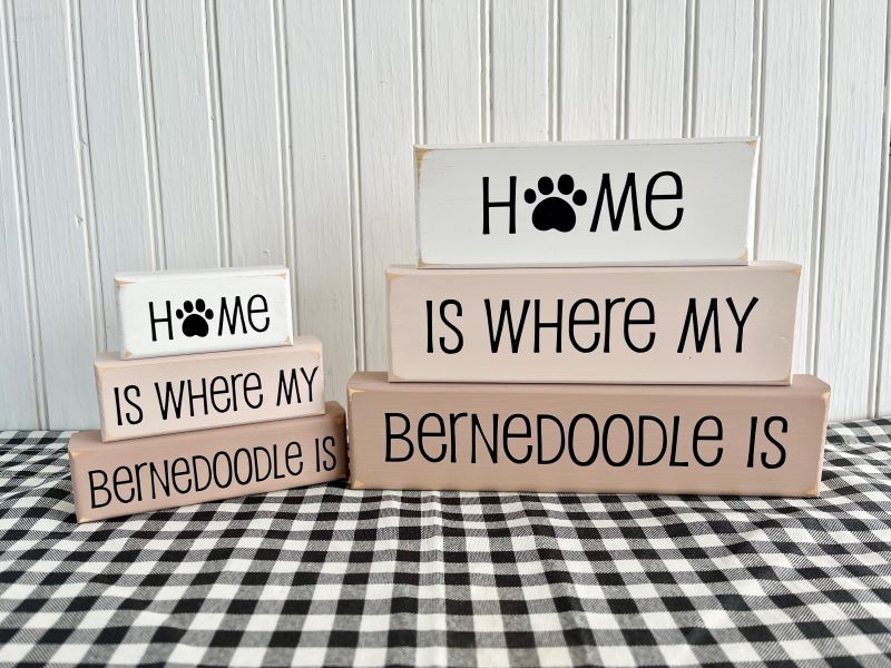 Home is Where my Bernedoodle is
