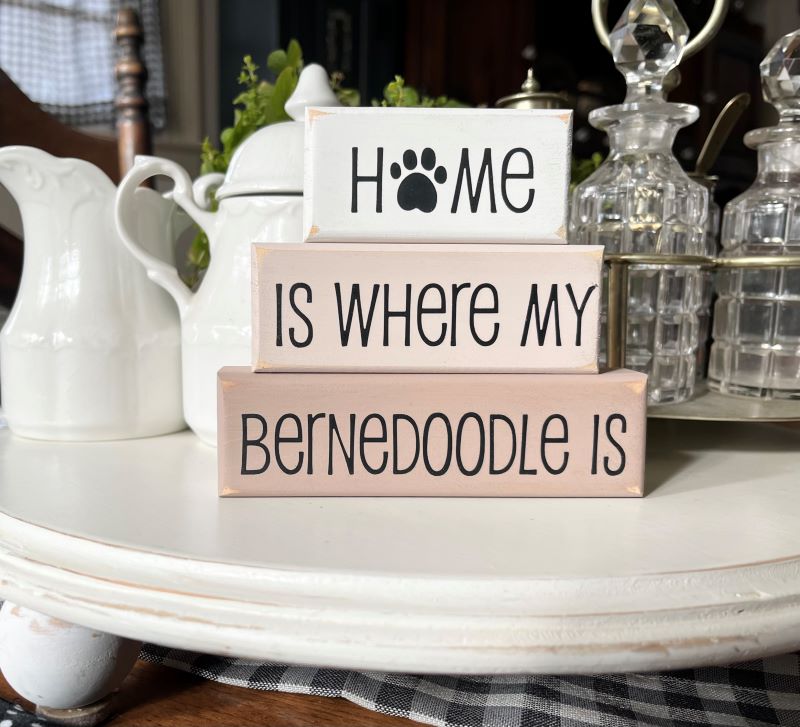 Home is Where my Bernedoodle is