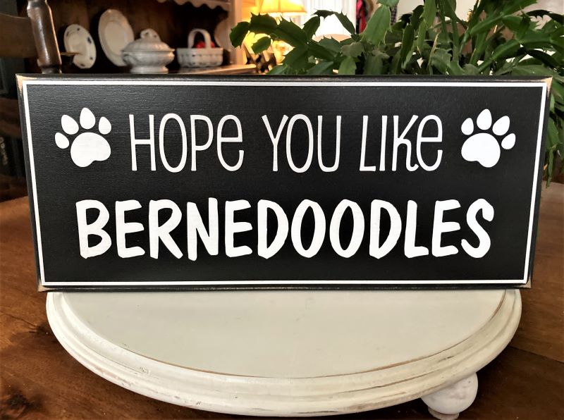 Hope You Like Bernedoodles