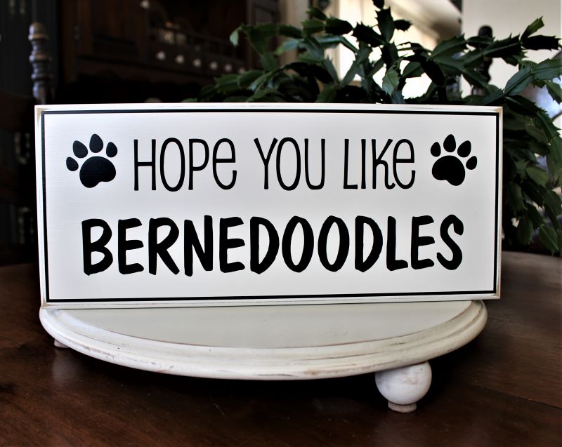 Hope You Like Bernedoodles