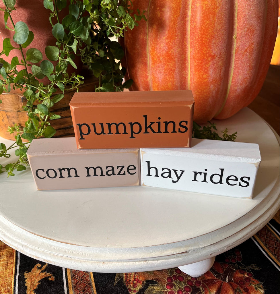 Pumpkins Corn Maze Hay Rides