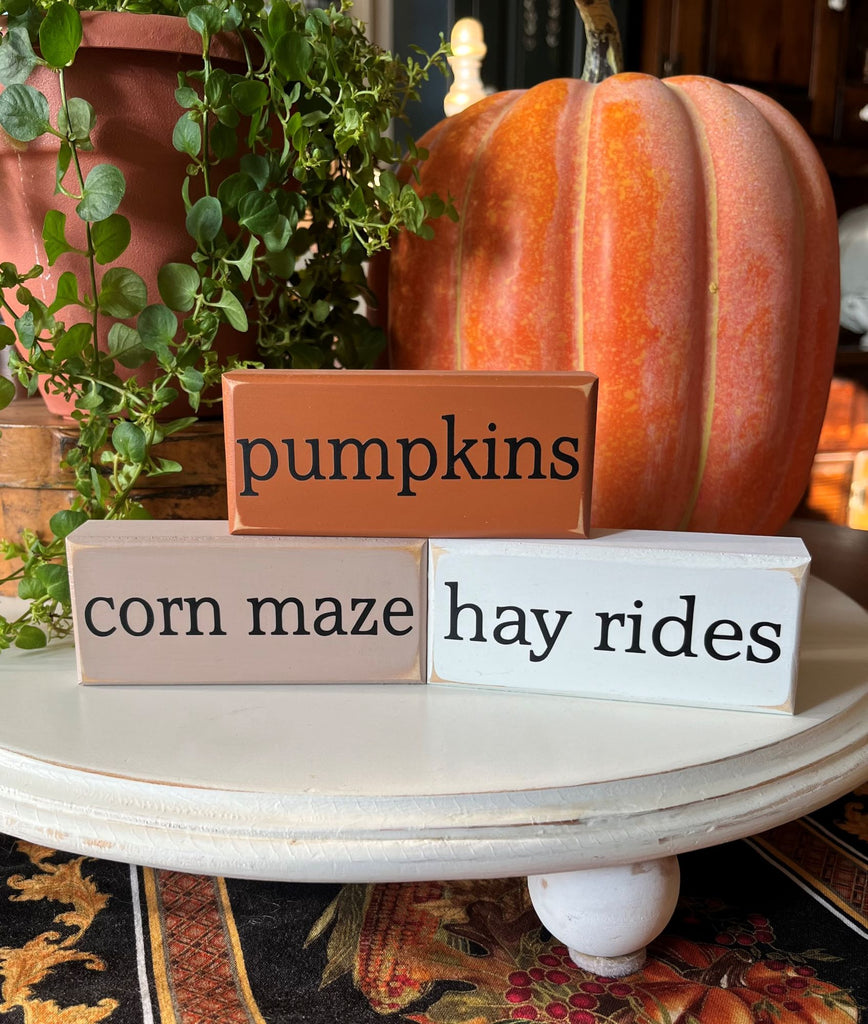 Pumpkins Corn Maze Hay Rides