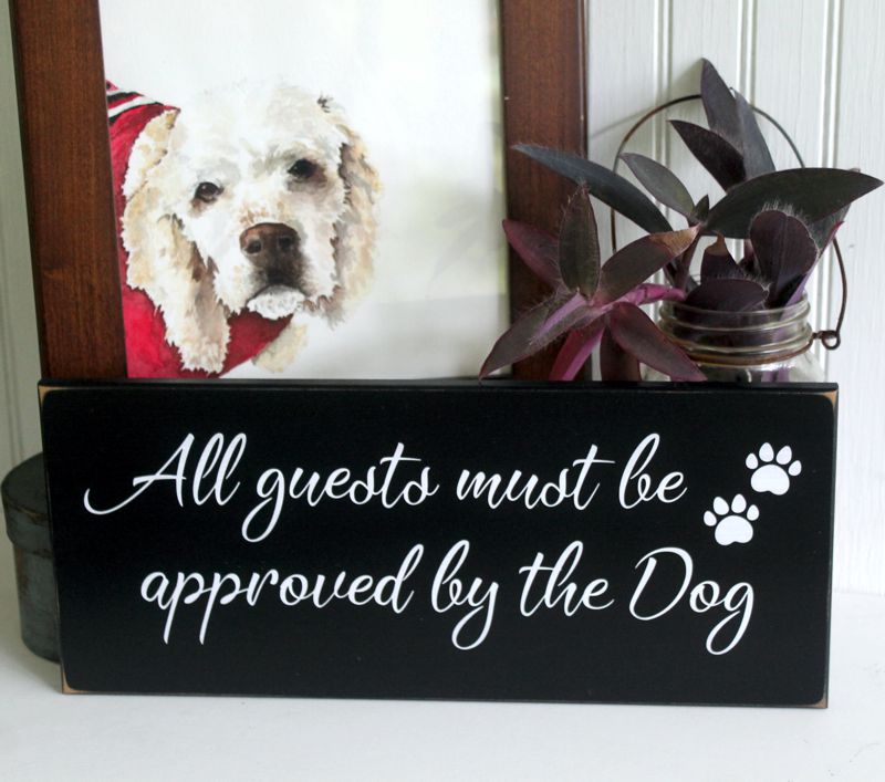 All Guests Must be Approved by the Dog