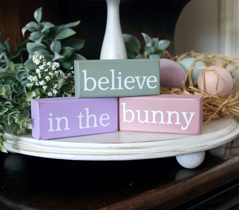 Believe in the Bunny Mini Blocks