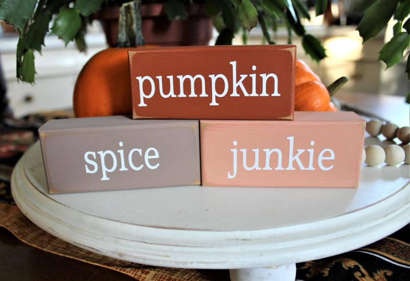 Pumpkin Spice Junkies Mini Blocks