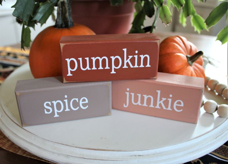 Pumpkin Spice Junkies Mini Blocks
