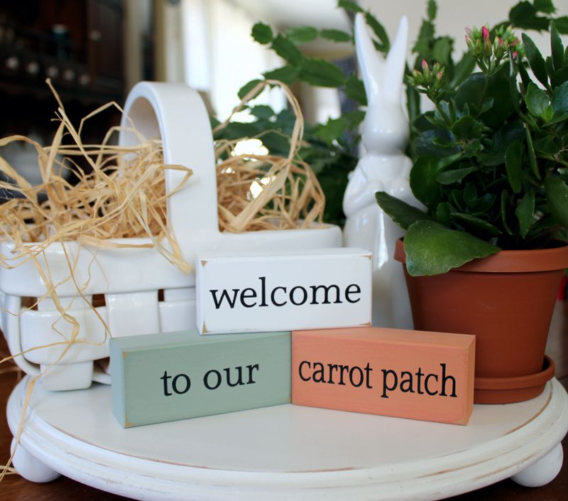 Welcome to our Carrot Patch Mini Blocks